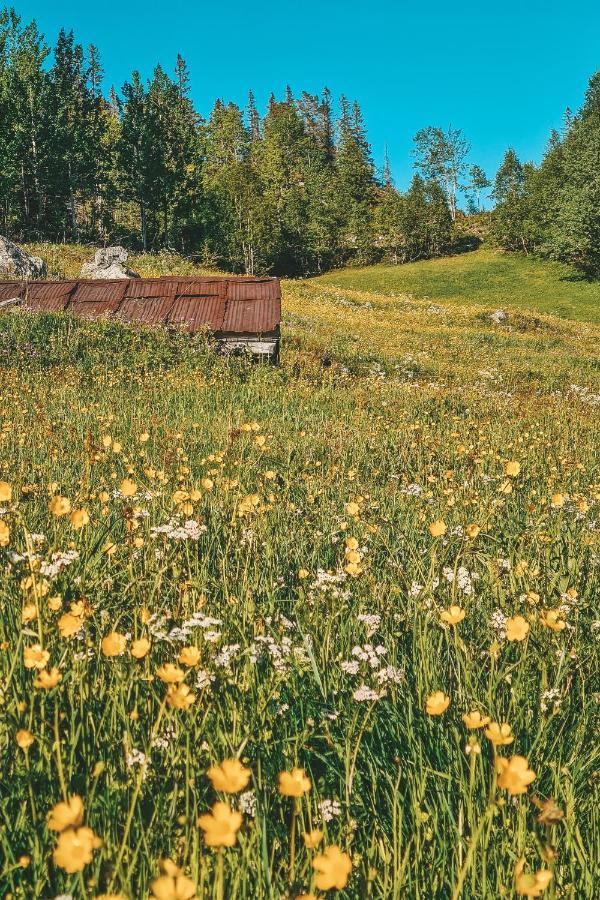 Sjoaasen Hytte Tuddal エクステリア 写真